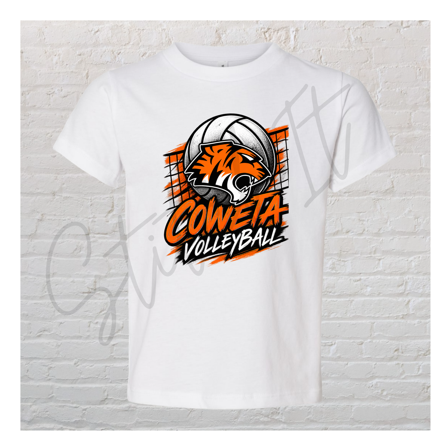 Coweta volleyball net