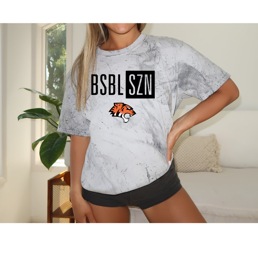 Baseball Season Tigers